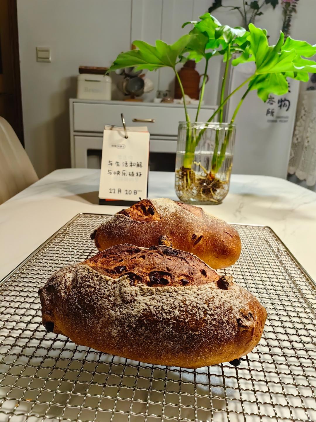 全麦蔓越莓软式欧包（免揉）