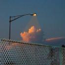 番茄种植7号基地