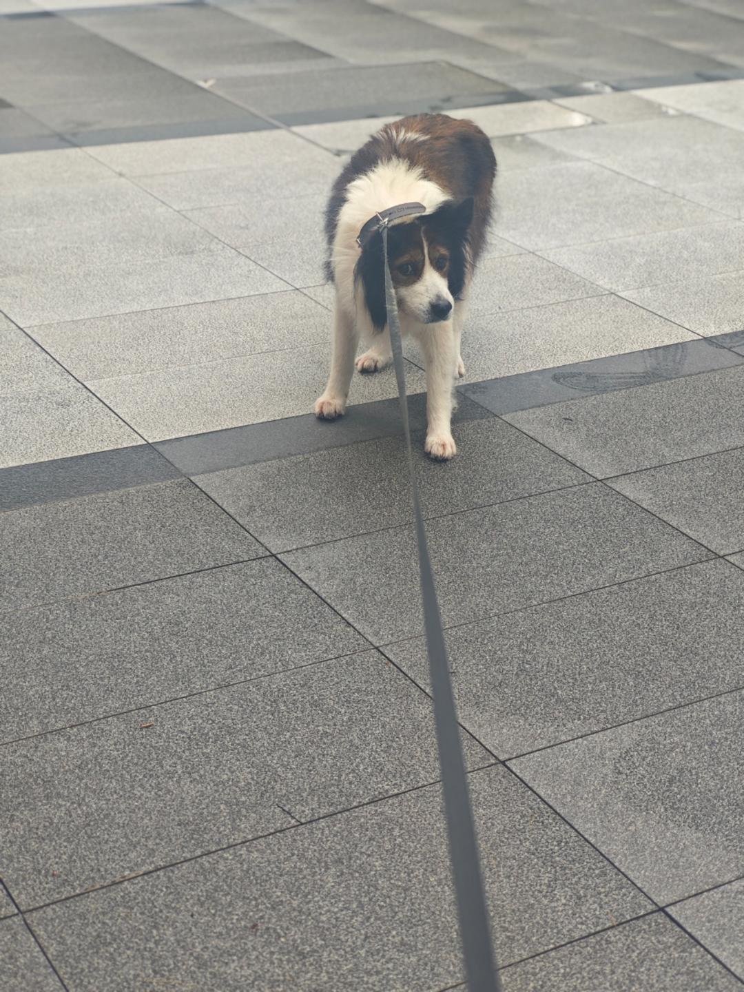 快乐的面包宝贝