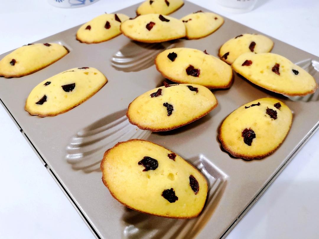 玛德琳（蓝带方）