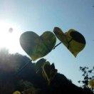 手机用户8791_7drj