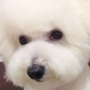 Jerry和Vivian