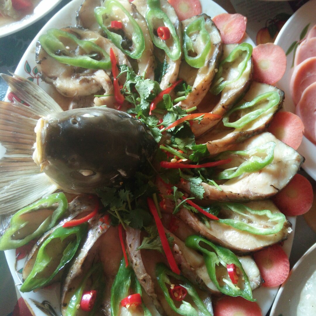 孔雀鱼