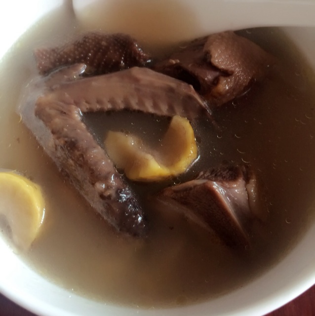 炖鸽子汤
