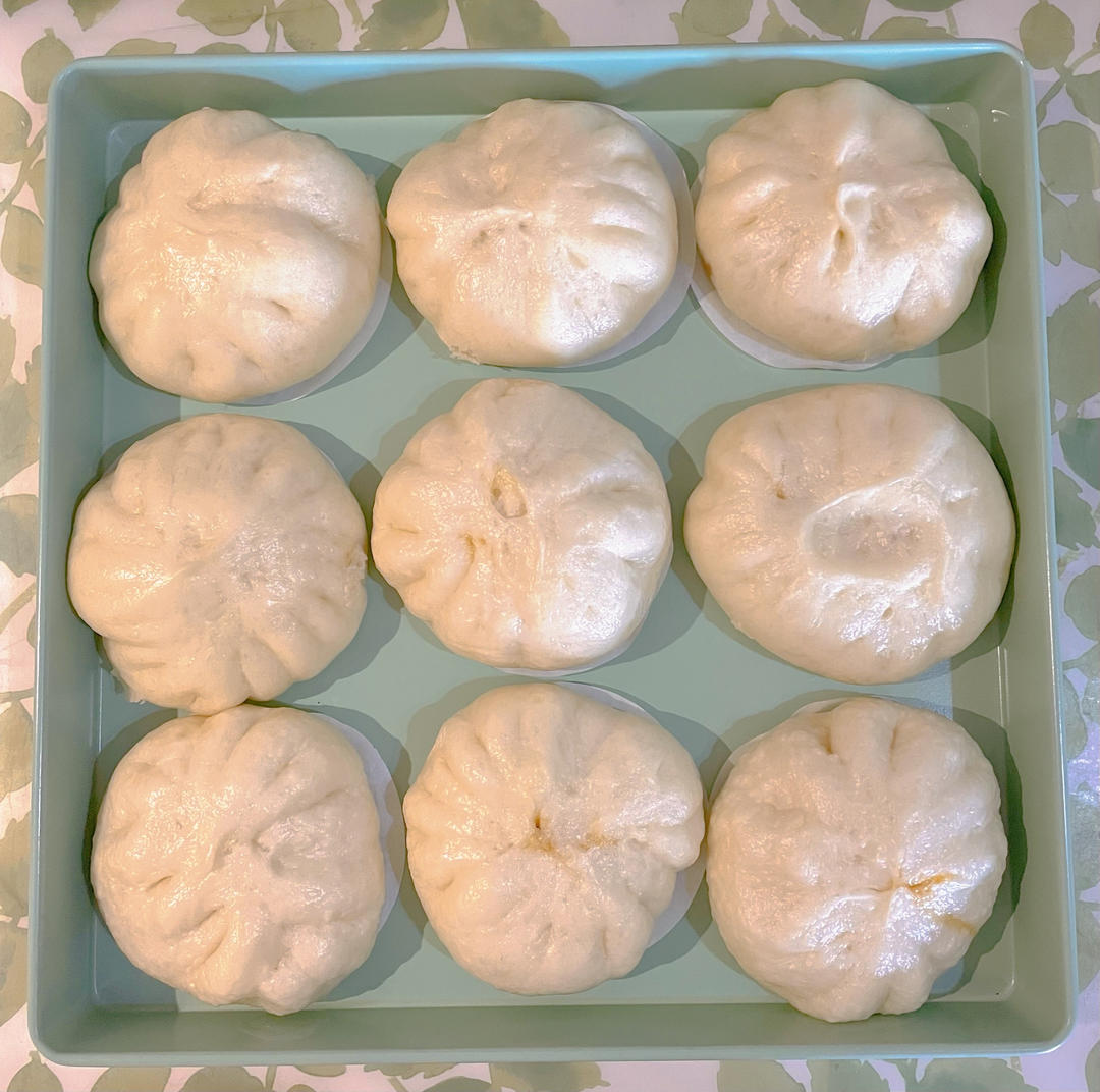肉包子（猪肉大葱，满口留香）
