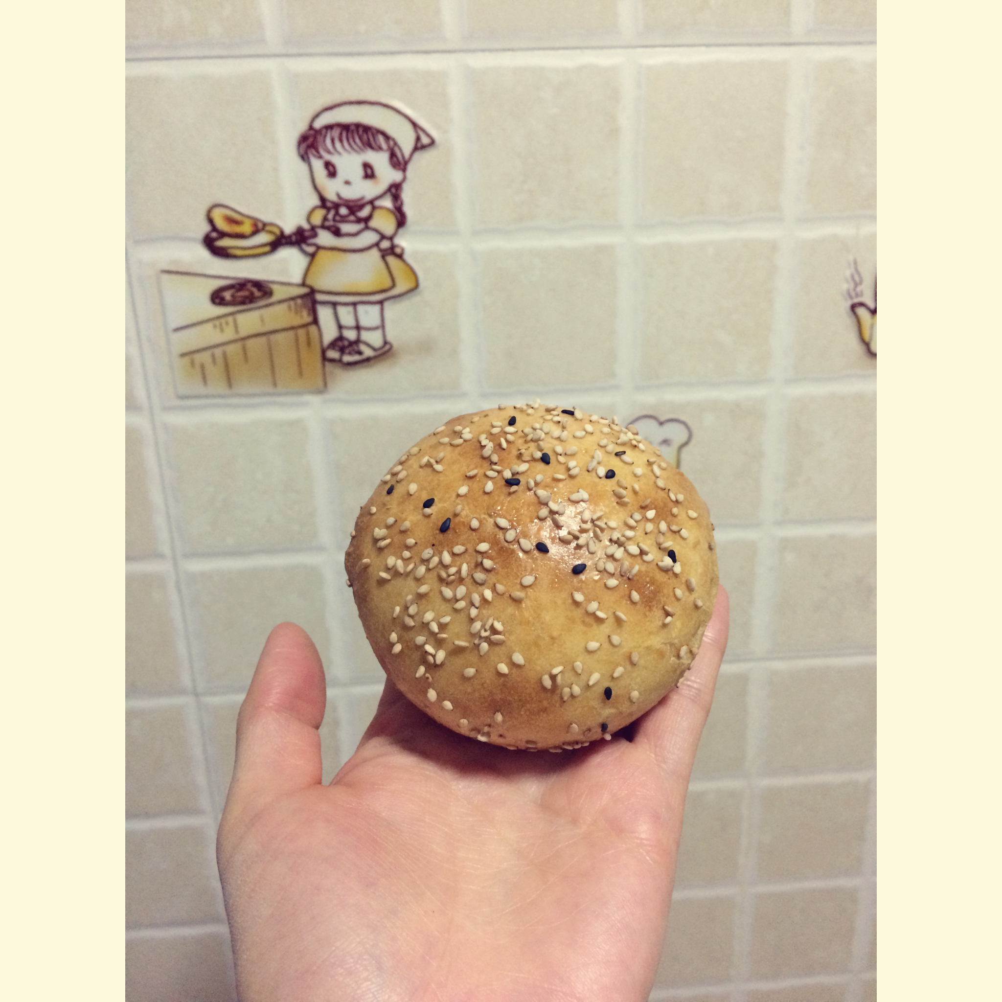 茉莉的日常