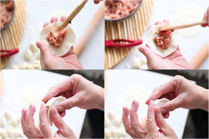 妈妈的萝卜丝猪肉煎饺的做法 步骤13