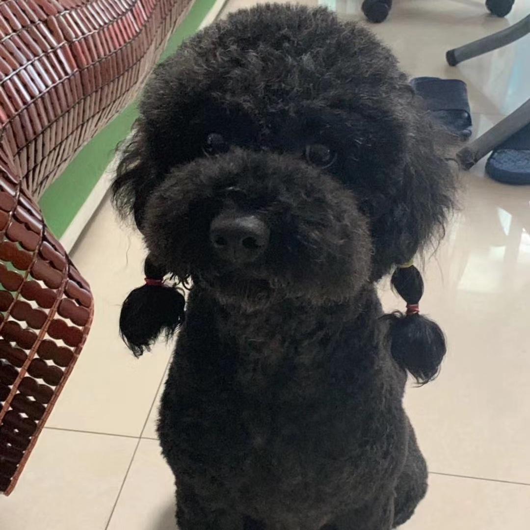 我要长肉肉啊