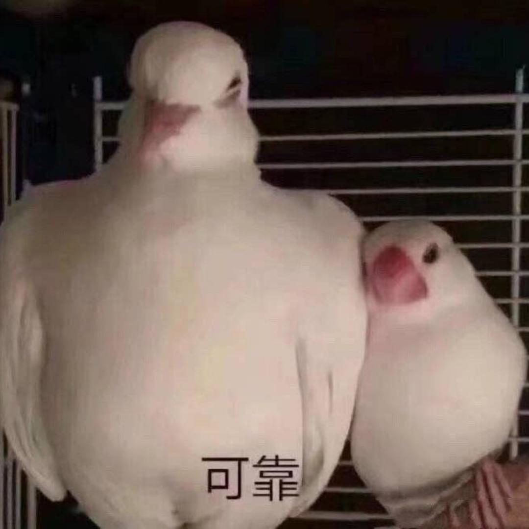 真_TAMAKO
