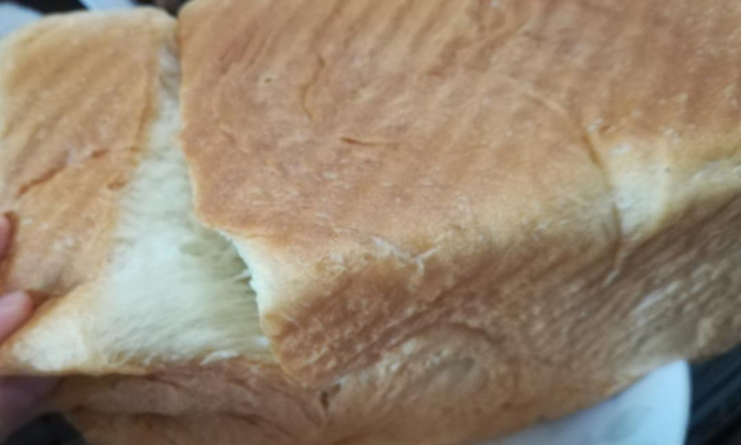 夺命软吐司(๑´ڡ`๑)超软拉丝极速方便的一次发酵吐司