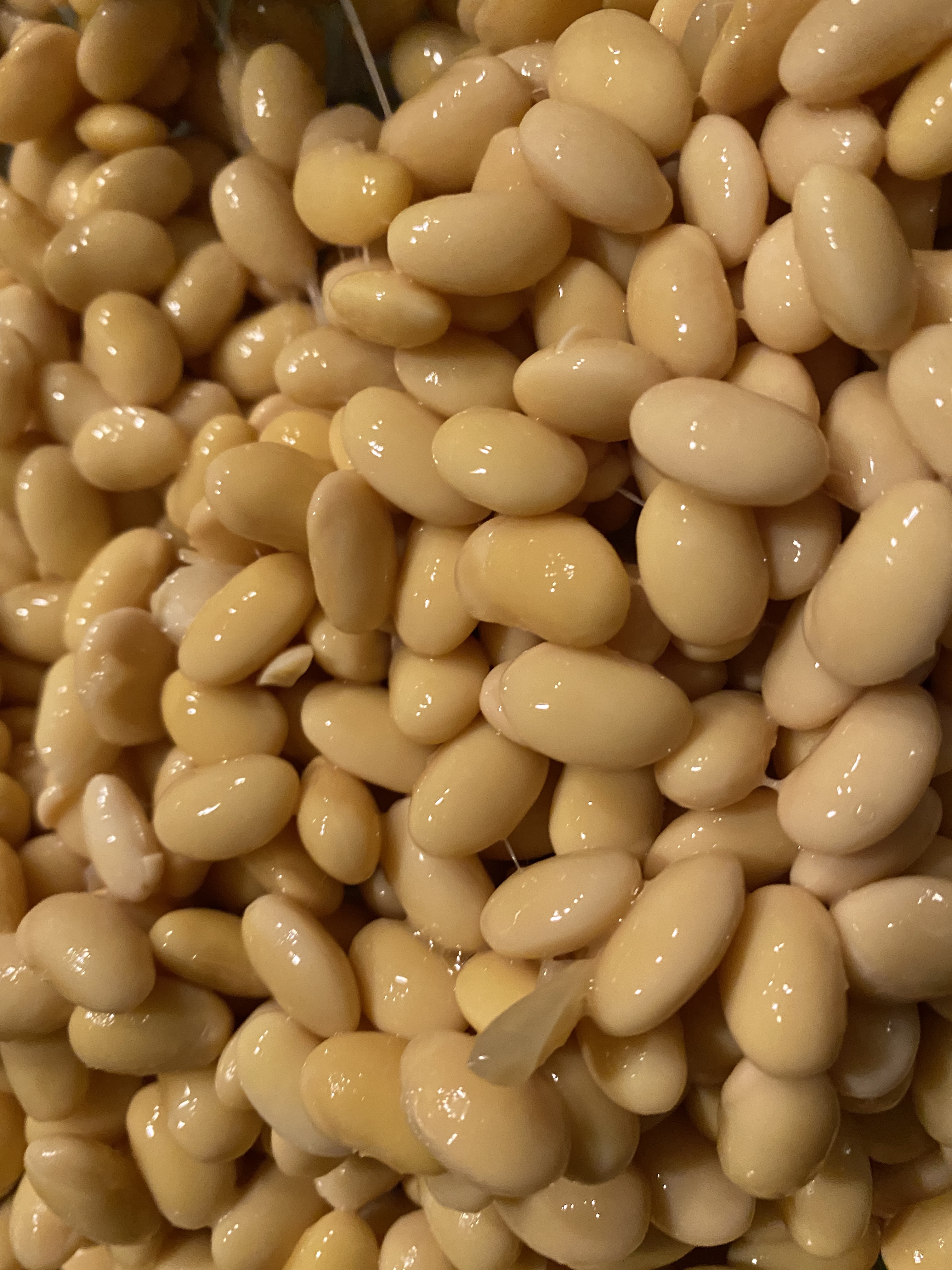 超级下饭神器—黄豆变纳豆/水豆豉/腊八豆的做法 步骤9