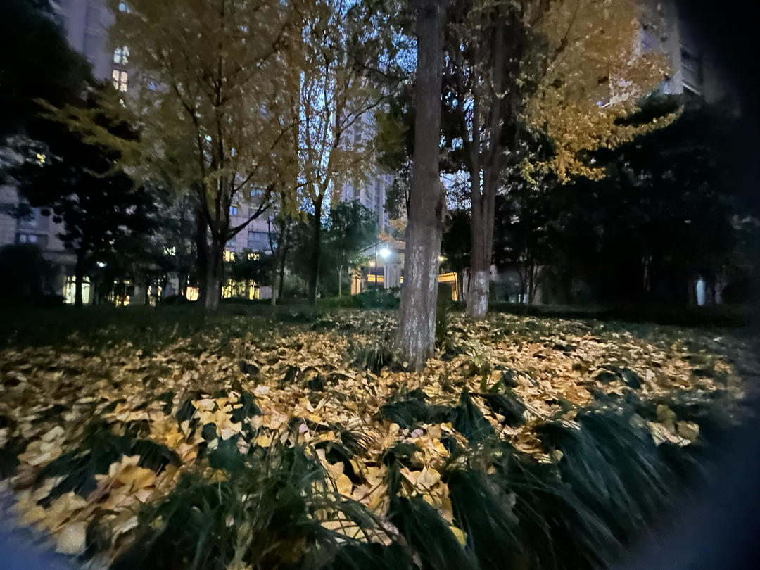人在旅途