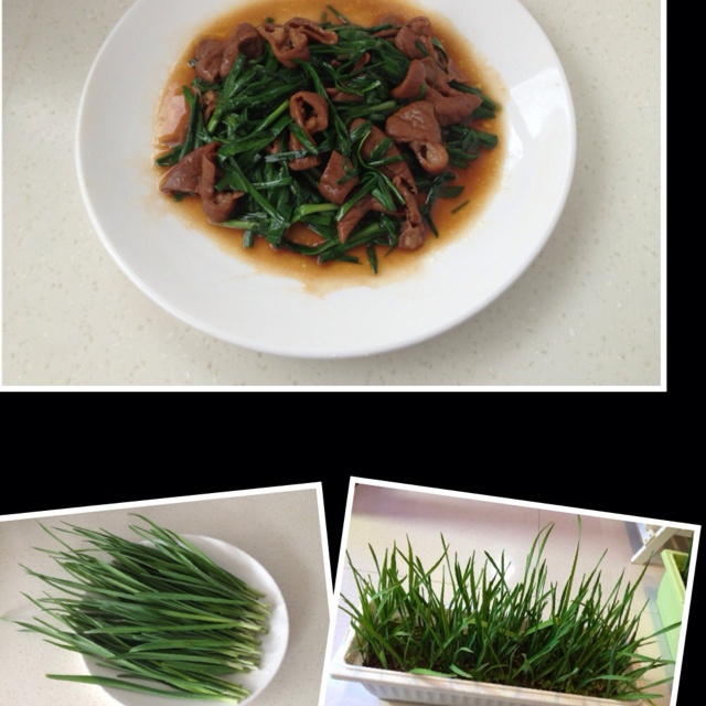 大蒜炒猪大肠