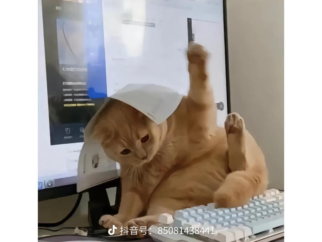 説桉