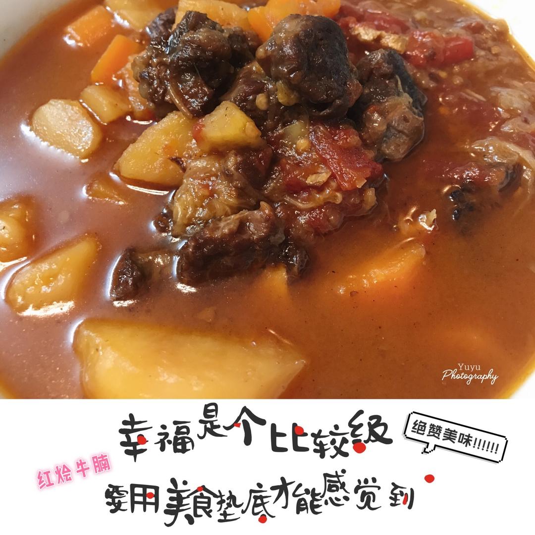 一个话唠包教包会的香浓红烩牛腩