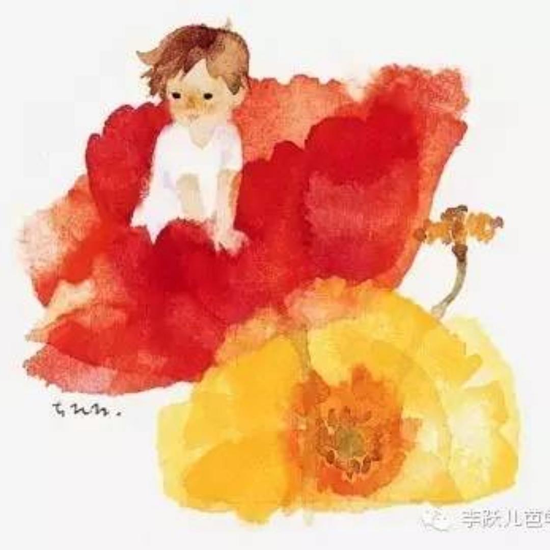 多多皮皮虾