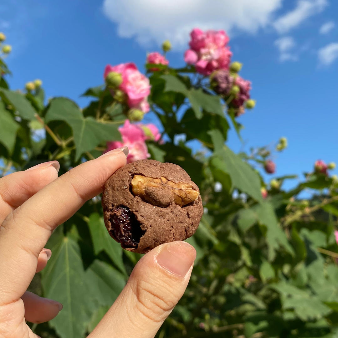 ㊙️无需打发❗️酥脆好吃的花生巧克力饼干❗🍪️