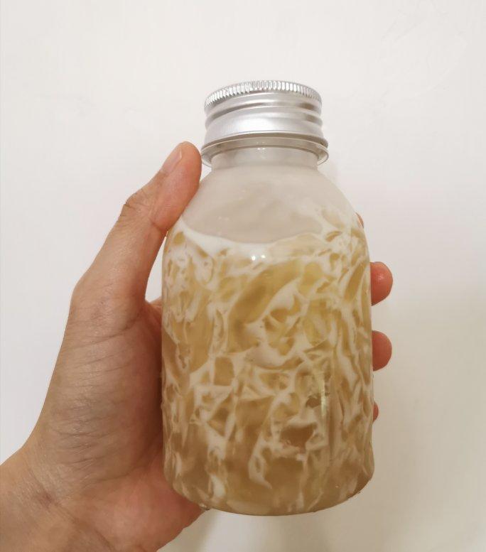 海底椰茅根甘蔗雪梨膏