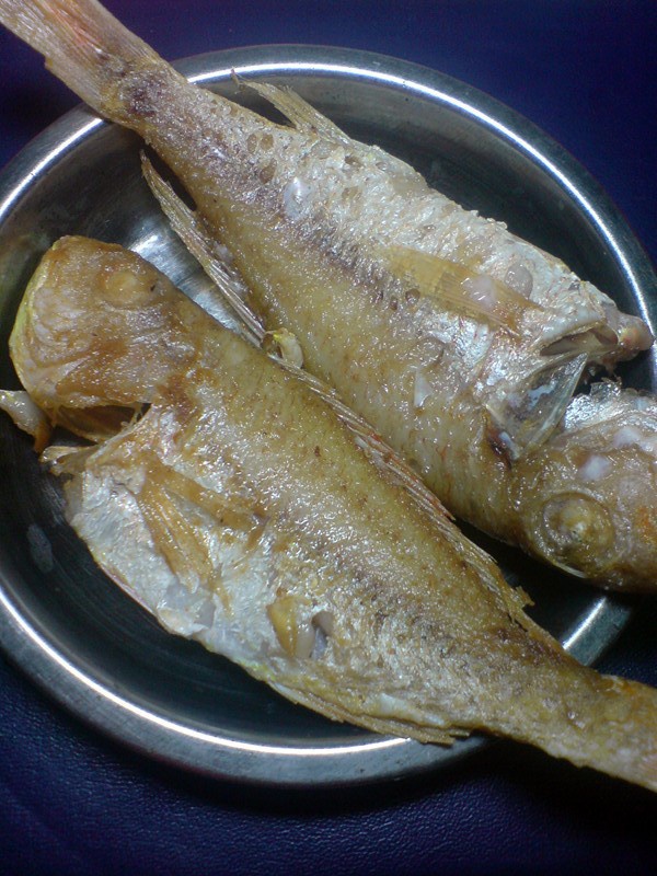 小团圆果子教室做的香煎红三鱼