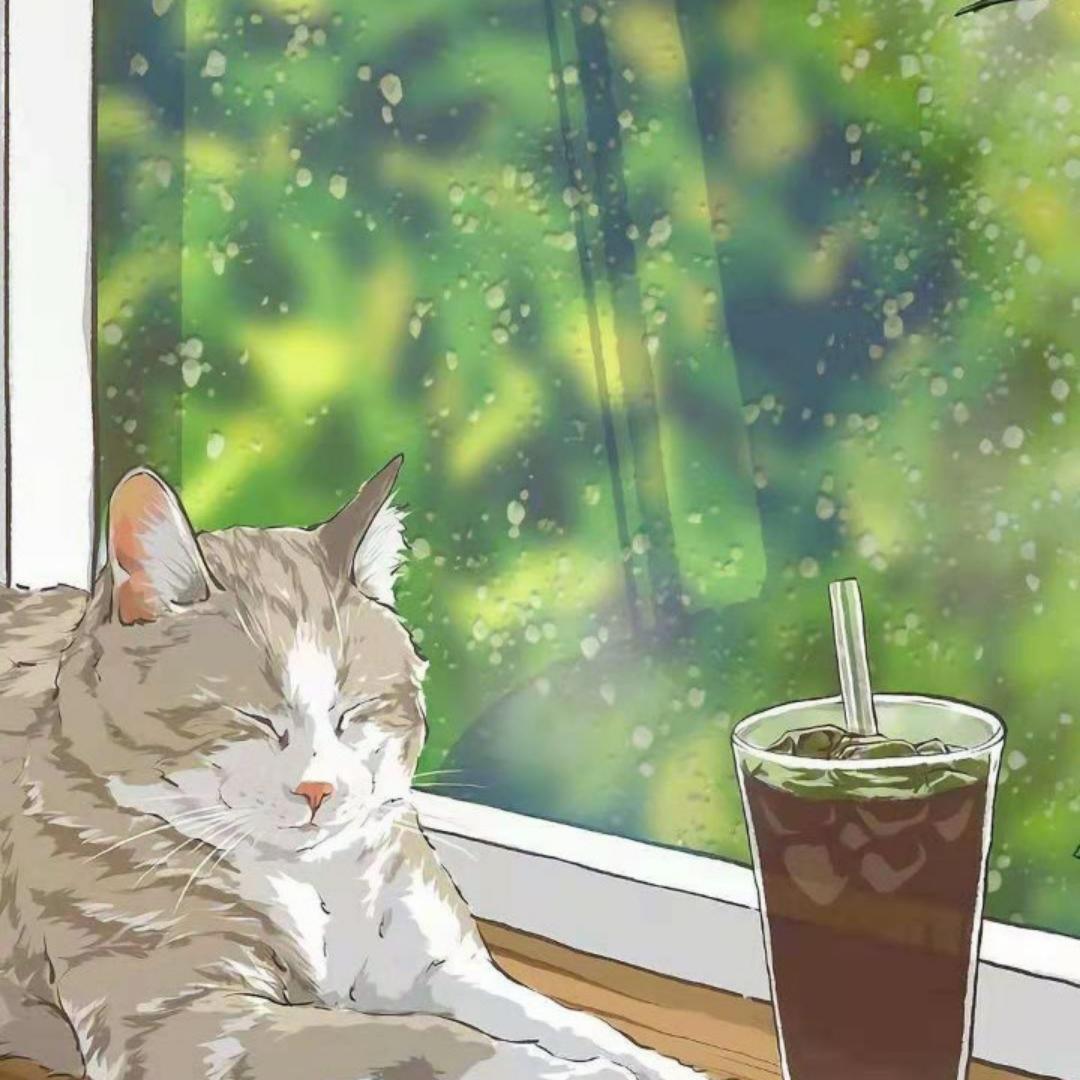 心火烧plus