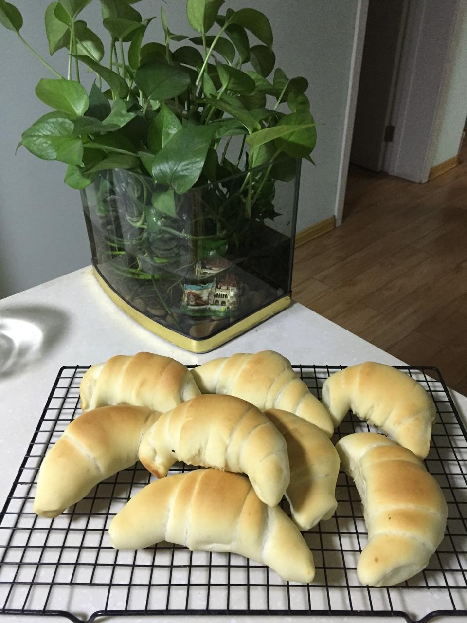 一次性发酵牛角肉松面包（无糖低油）