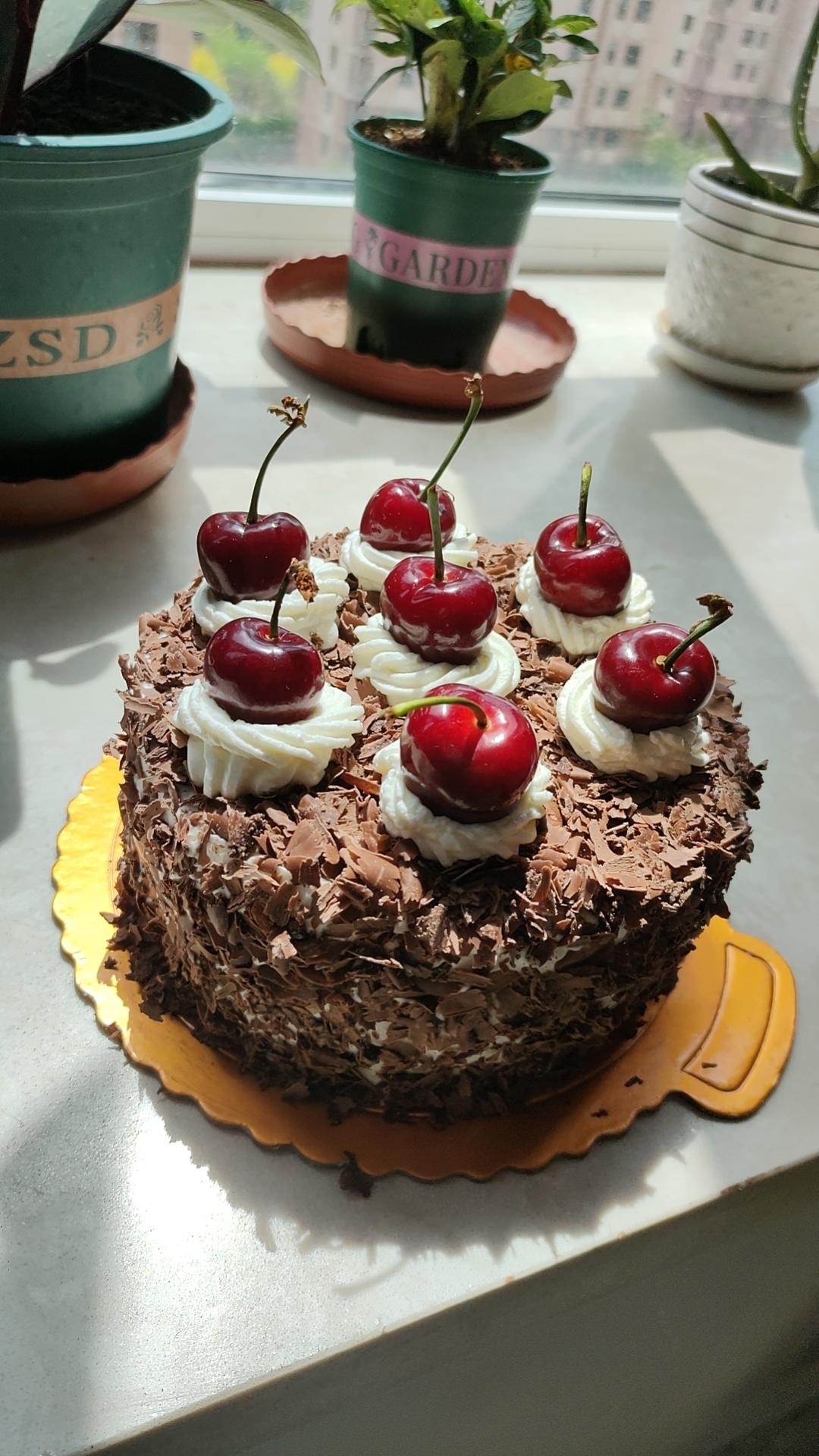 6寸黑森林蛋糕（详细得我自己都觉得自己很啰嗦）