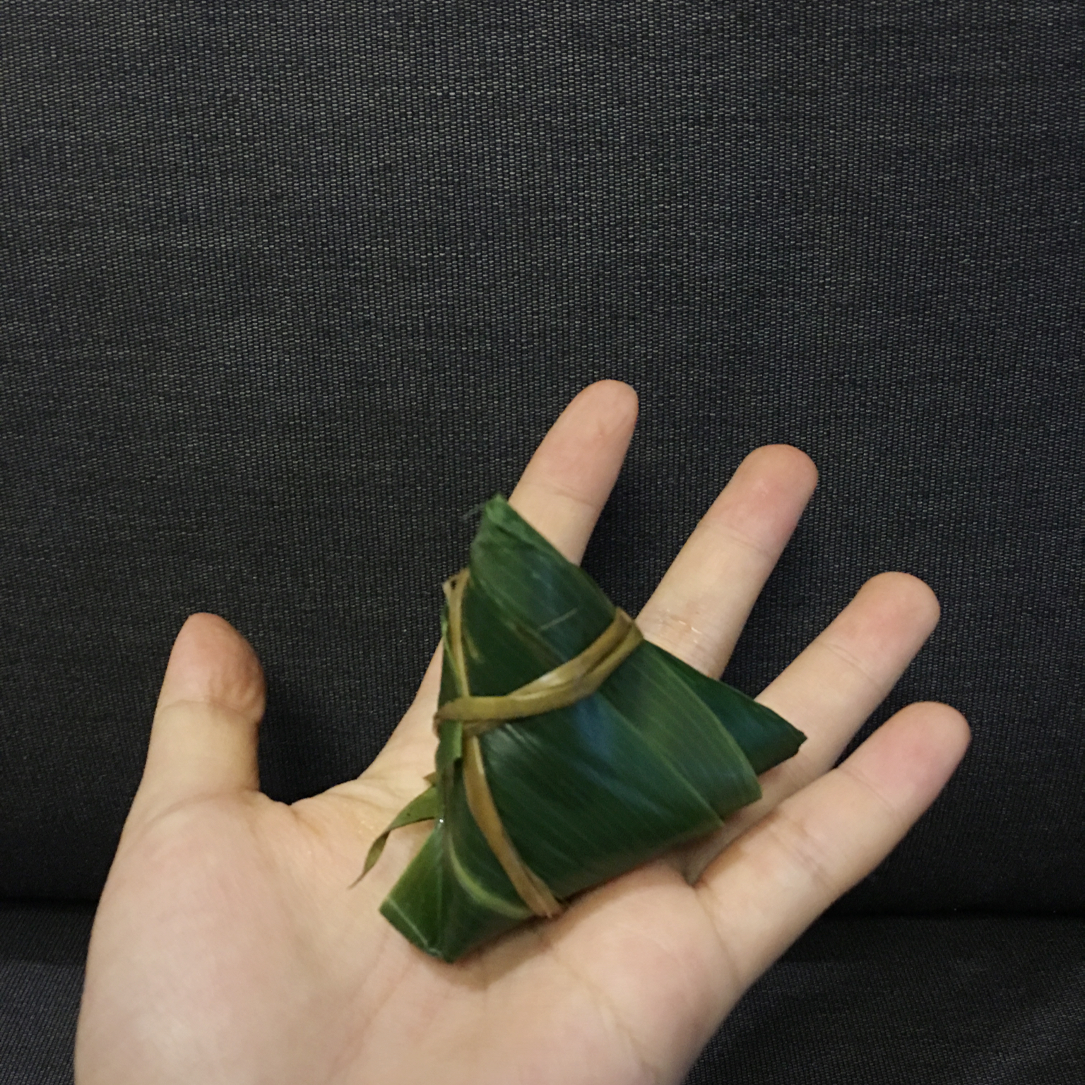 端午鲜肉粽