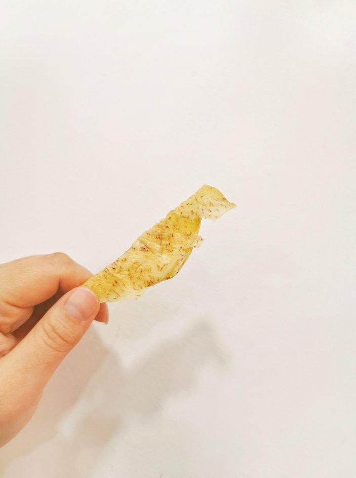 一饭一食一世界