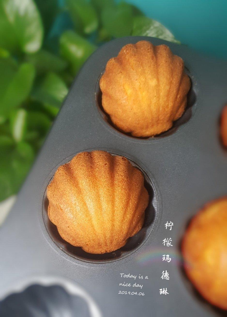 《Tinrry+》柠檬玛德琳