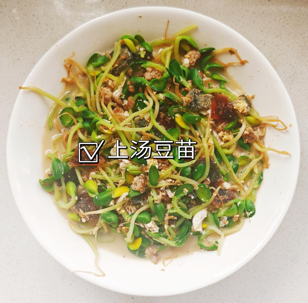 上汤豆苗