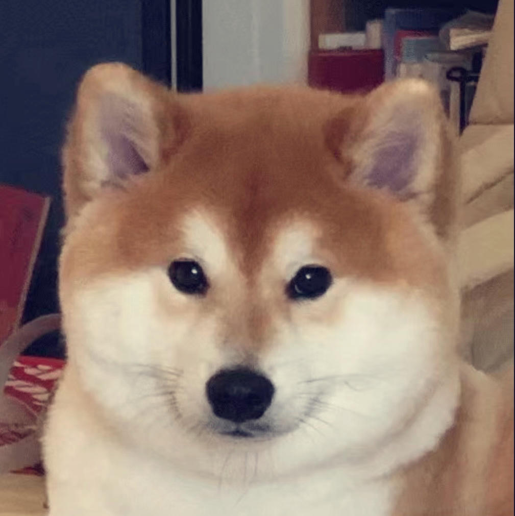 一起炫饭吧