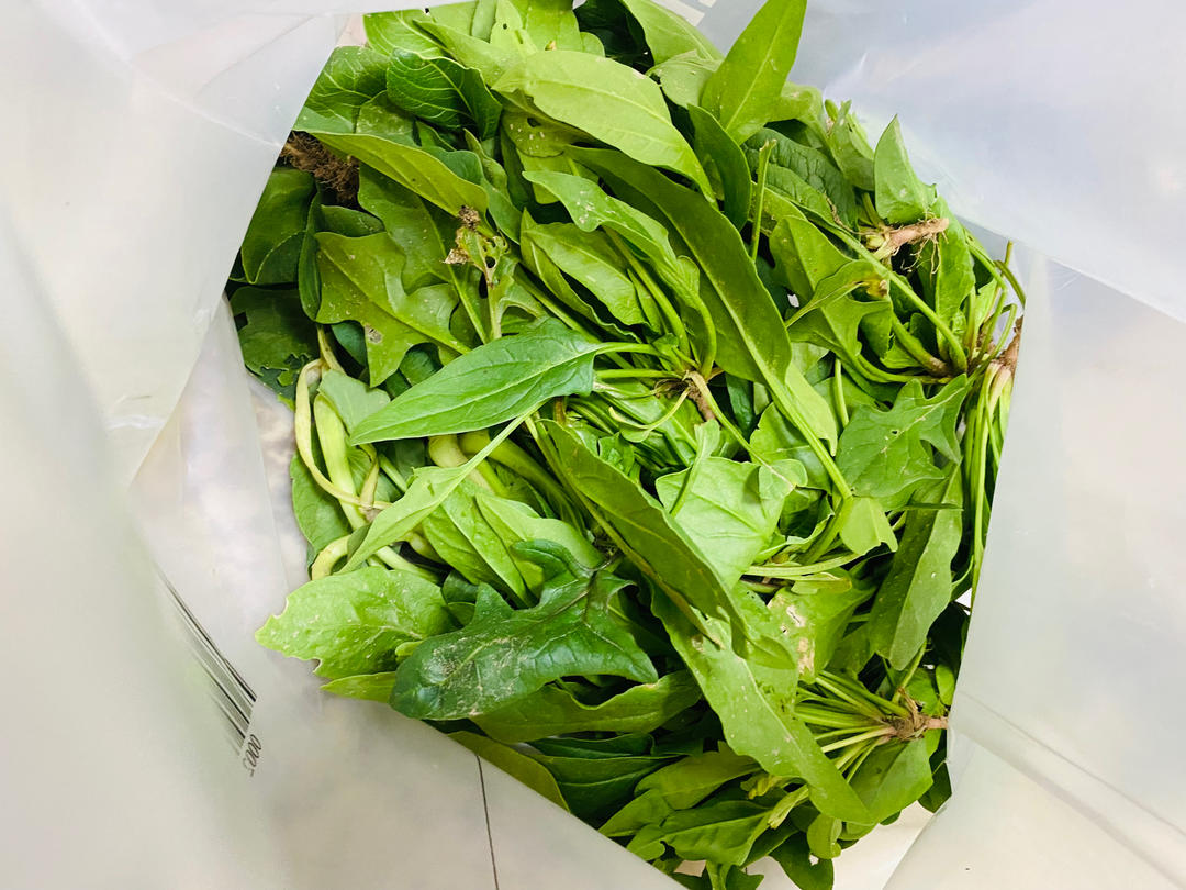 疙瘩汤：我不允许你不会做的快手菜！营养又美味