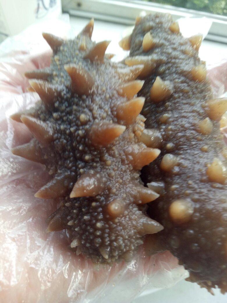 泡发海参的方法