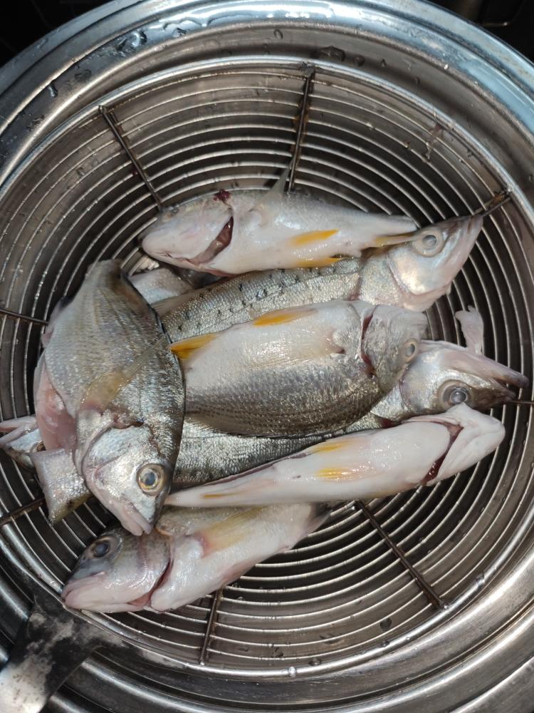 鱼汤 橄榄鱼的做法 步骤2