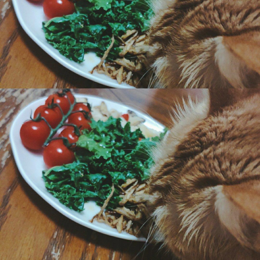 5对2轻断食记录