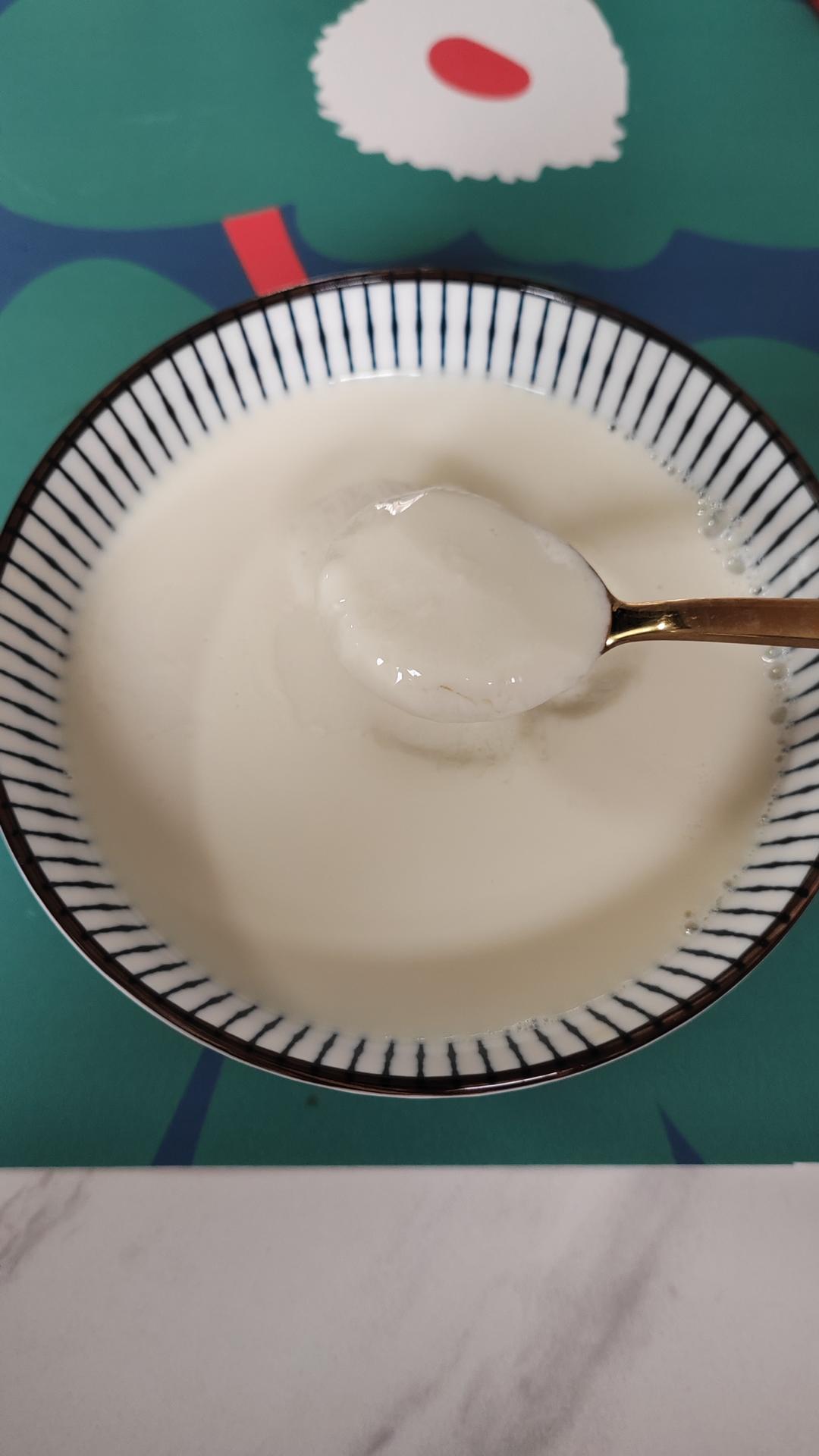 姜撞奶（传统制法，附失败解决方案）