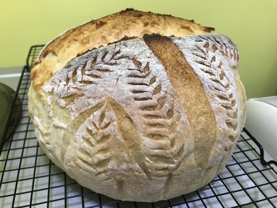 收藏的割包图案，ins不定时欧包搬运