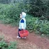 小芒果宝妈