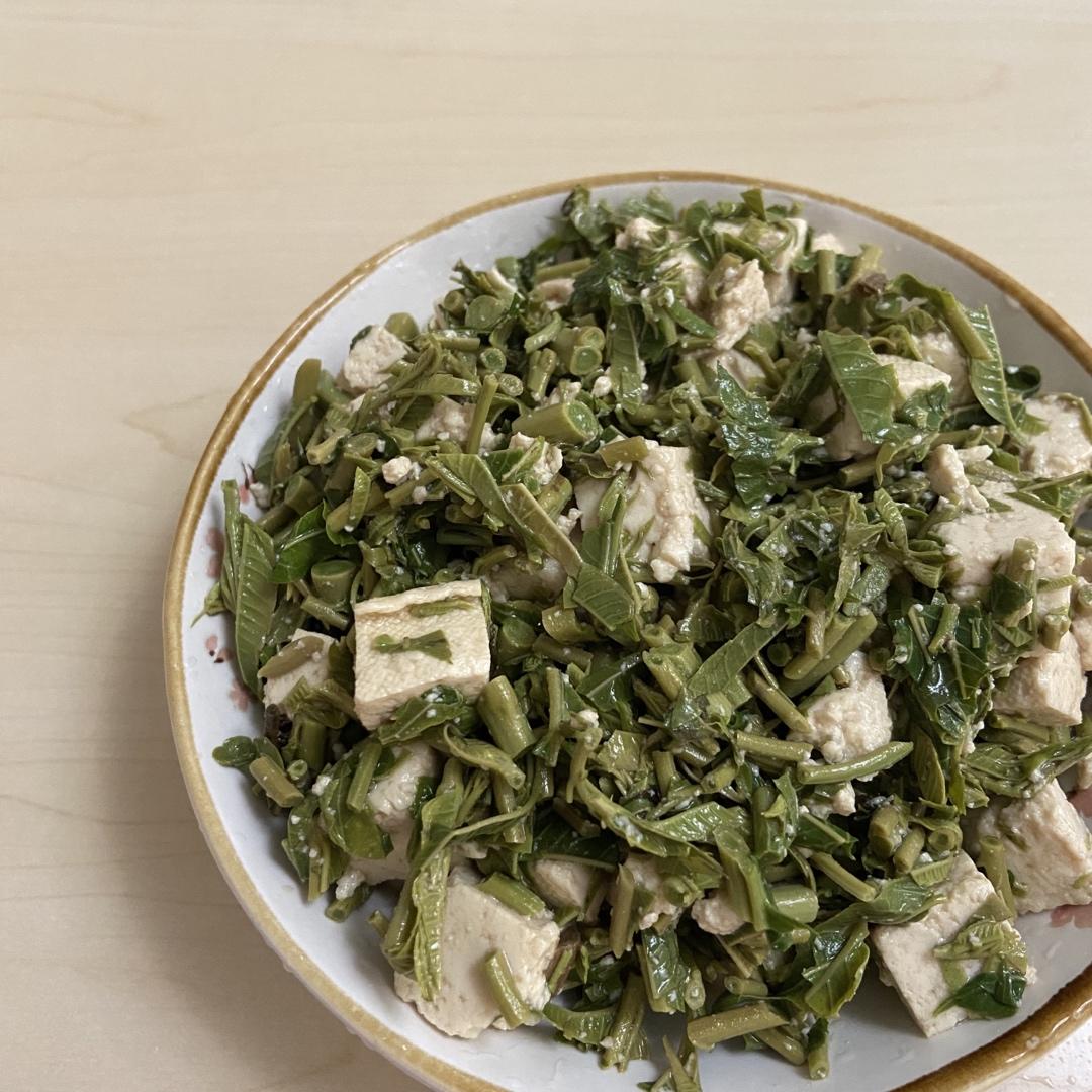 香椿拌豆腐