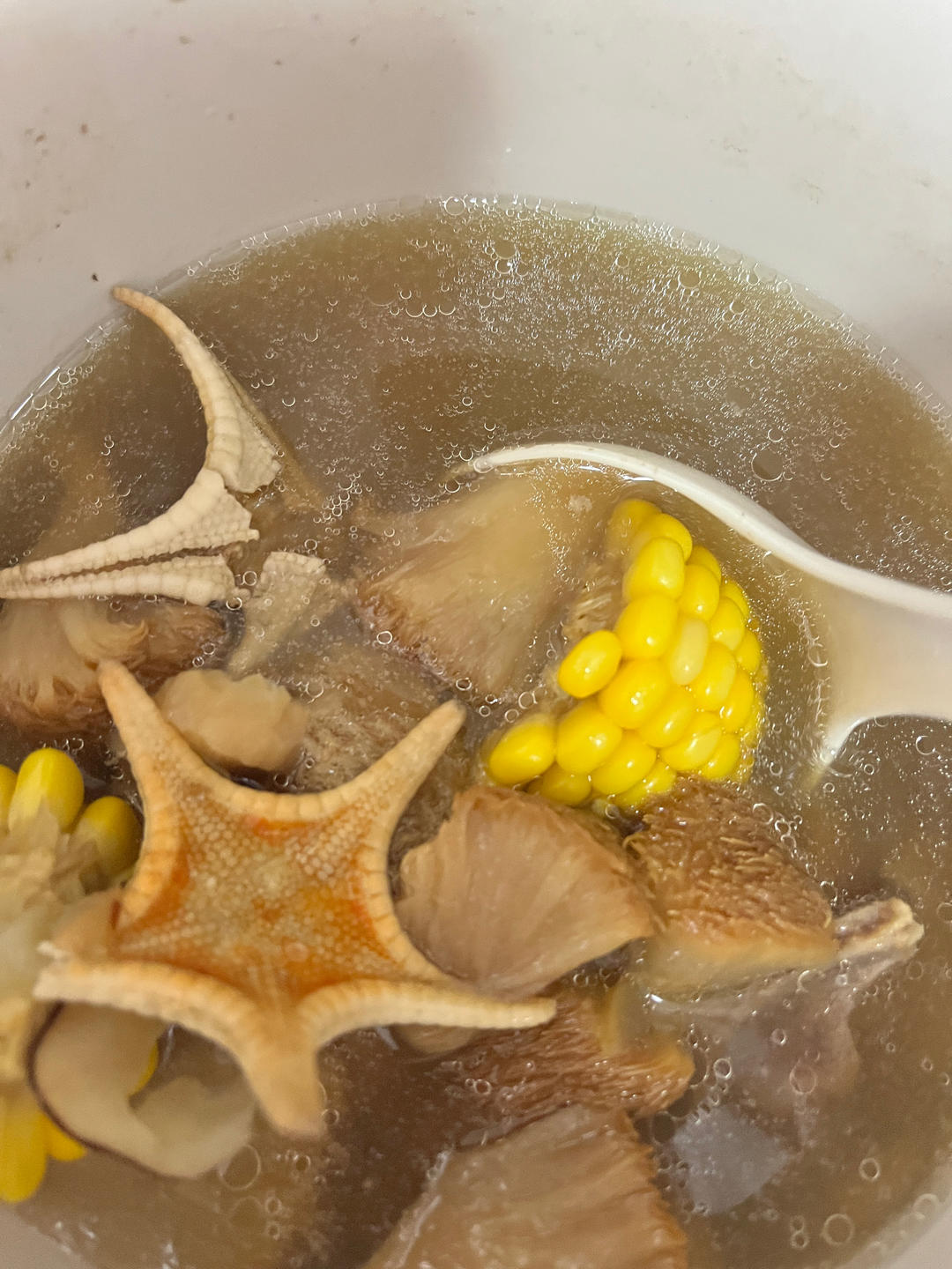 海星海麻雀润肺汤