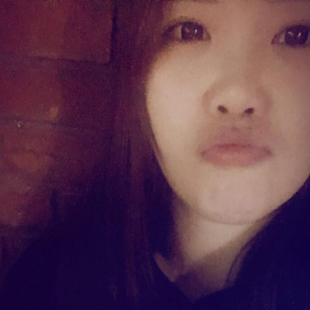 豚木林林林