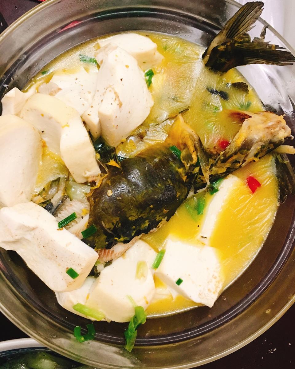 昂刺鱼豆腐汤