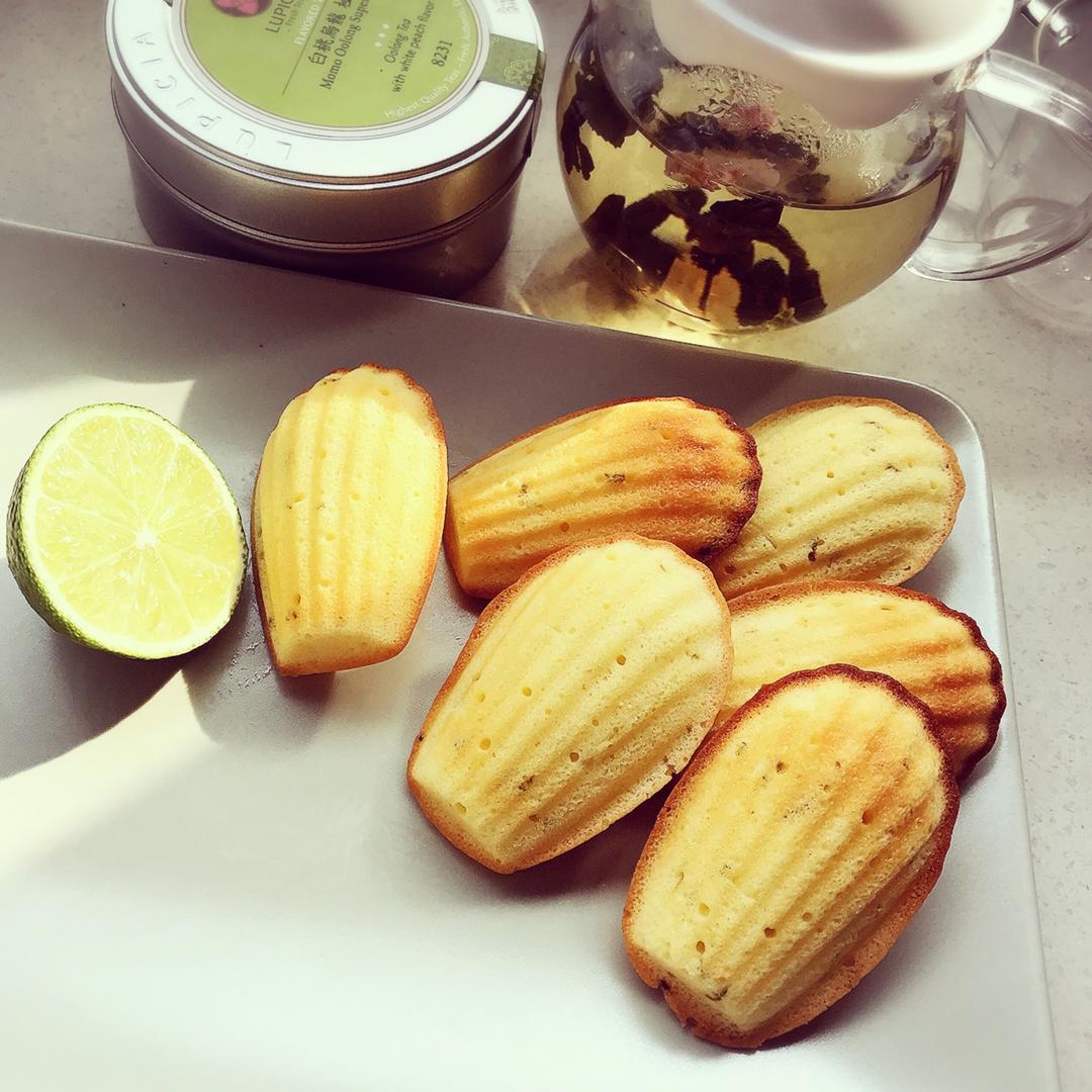 玛德琳（蓝带方）