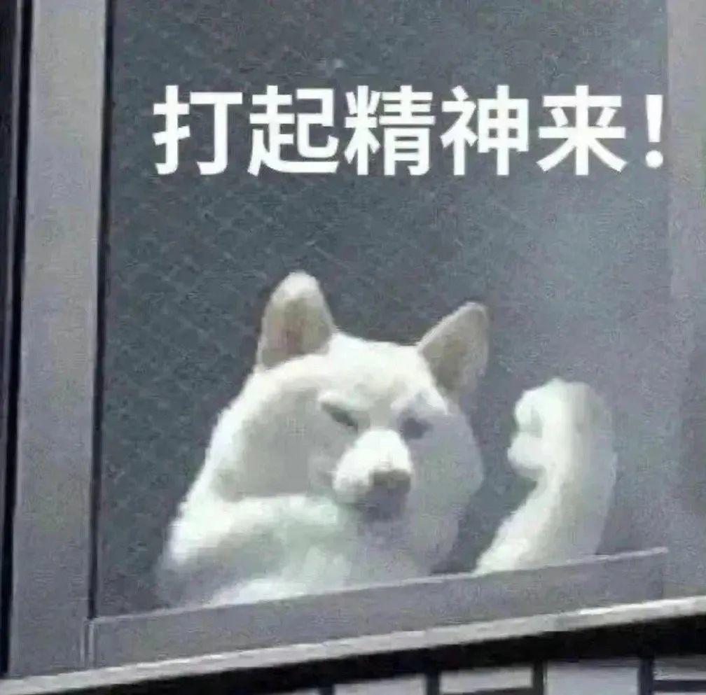 下厨房用户_shatc