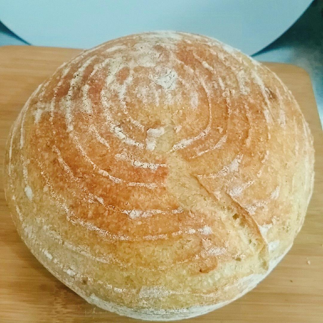 欧包/乡村面包-无油不用揉 No Knead Bread