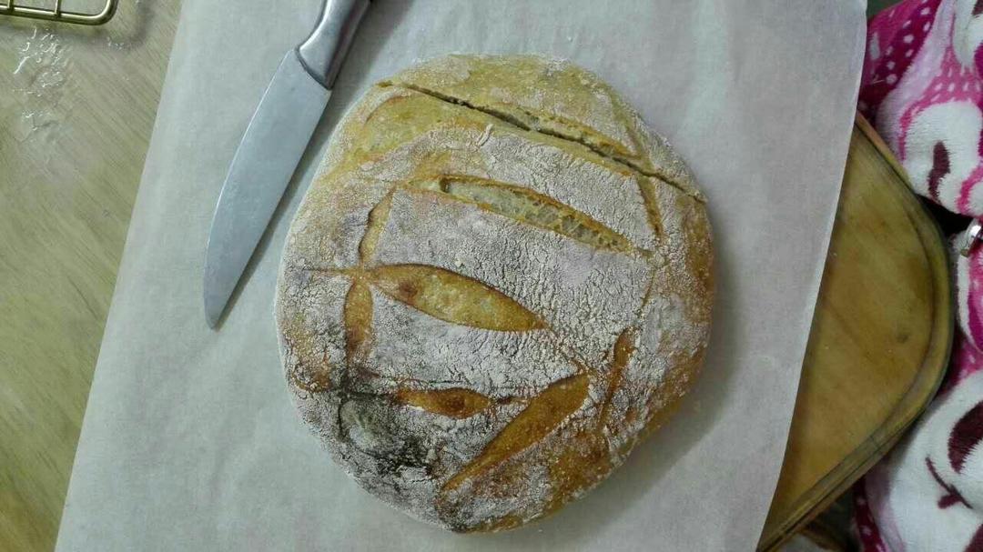 天然酵母面包~无油无糖