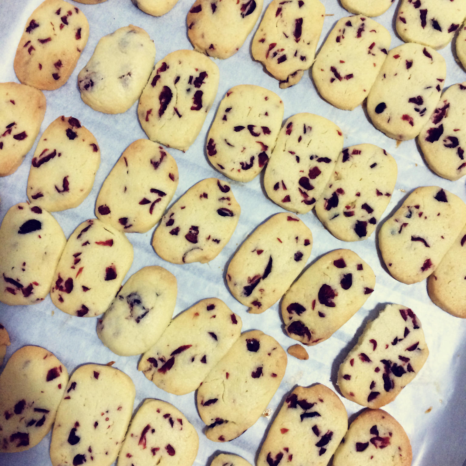 蔓越莓饼干 蔓越莓曲奇