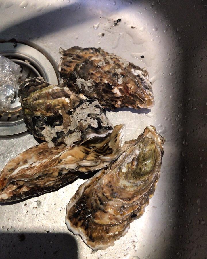 堪比烤生蚝的高压锅生蚝