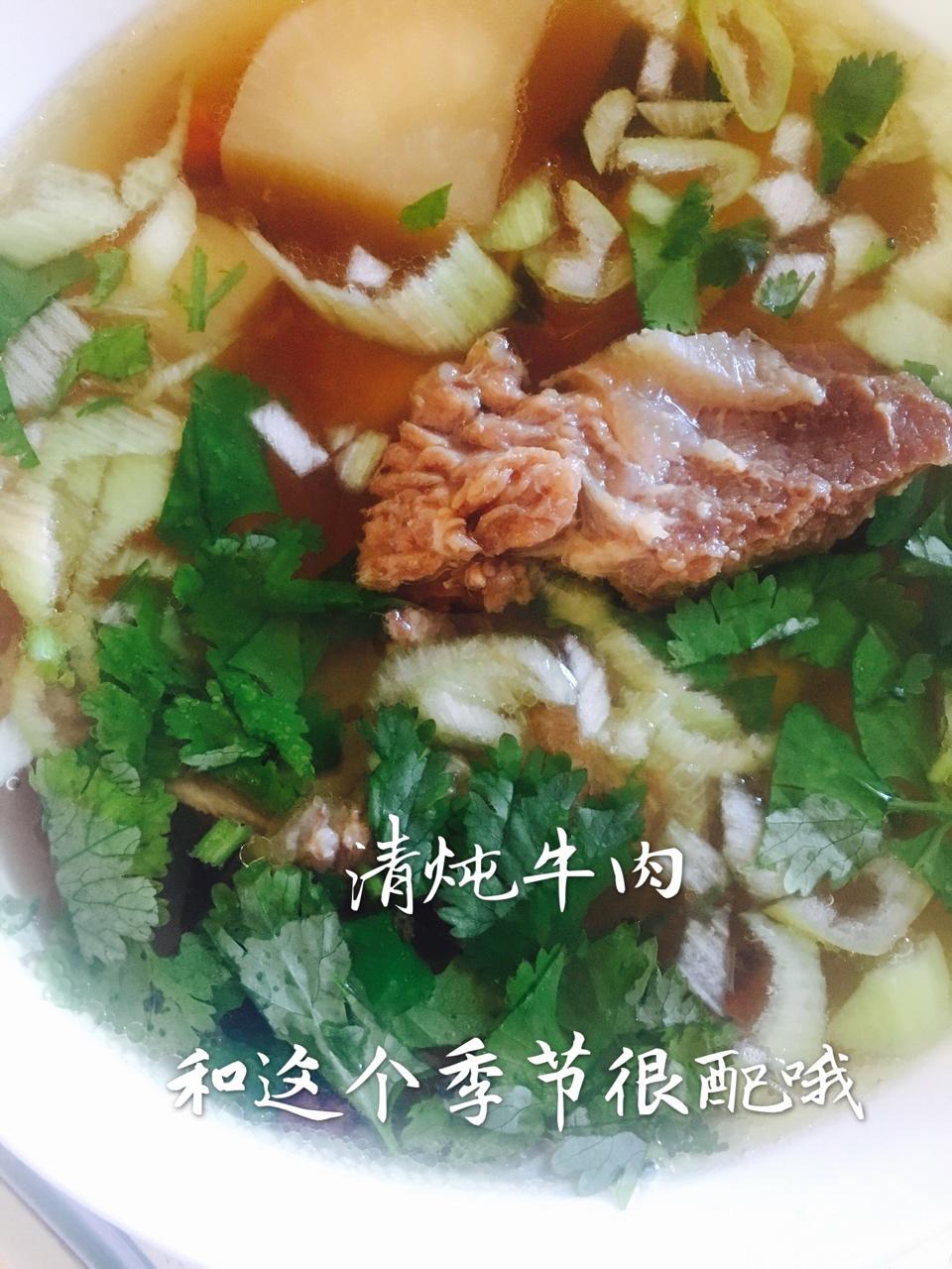 清炖牛肉汤