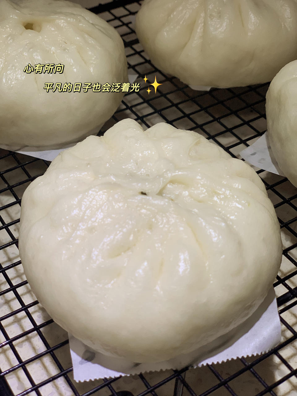 秒杀绿杨邨的香菇菜包